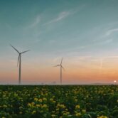 vicky-1742811455-tim-van-der-kuip-d33hYz_iQEY-unsplash-888x500 vicky-1742811455-tim-van-der-kuip-d33hYz_iQEY-unsplash-888x500